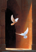 Flutter of Gold
