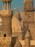 The Wings of Cairo