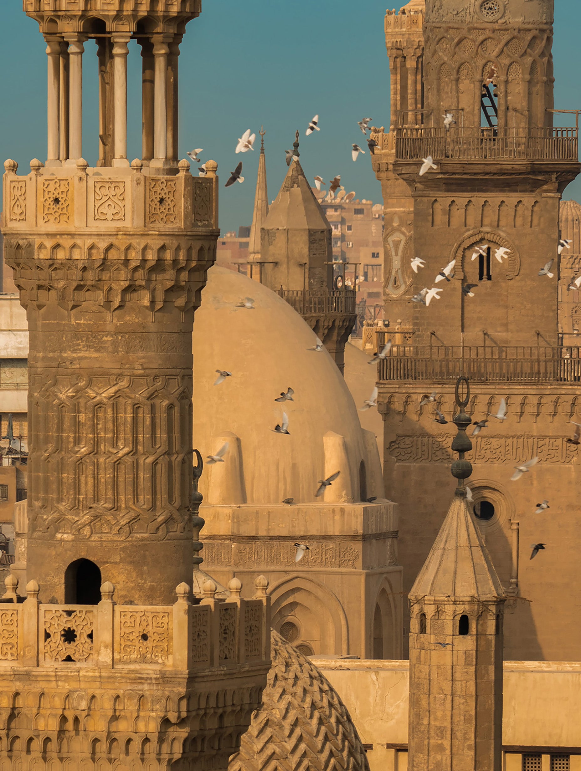 The Wings of Cairo