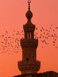 The Wings of Cairo II