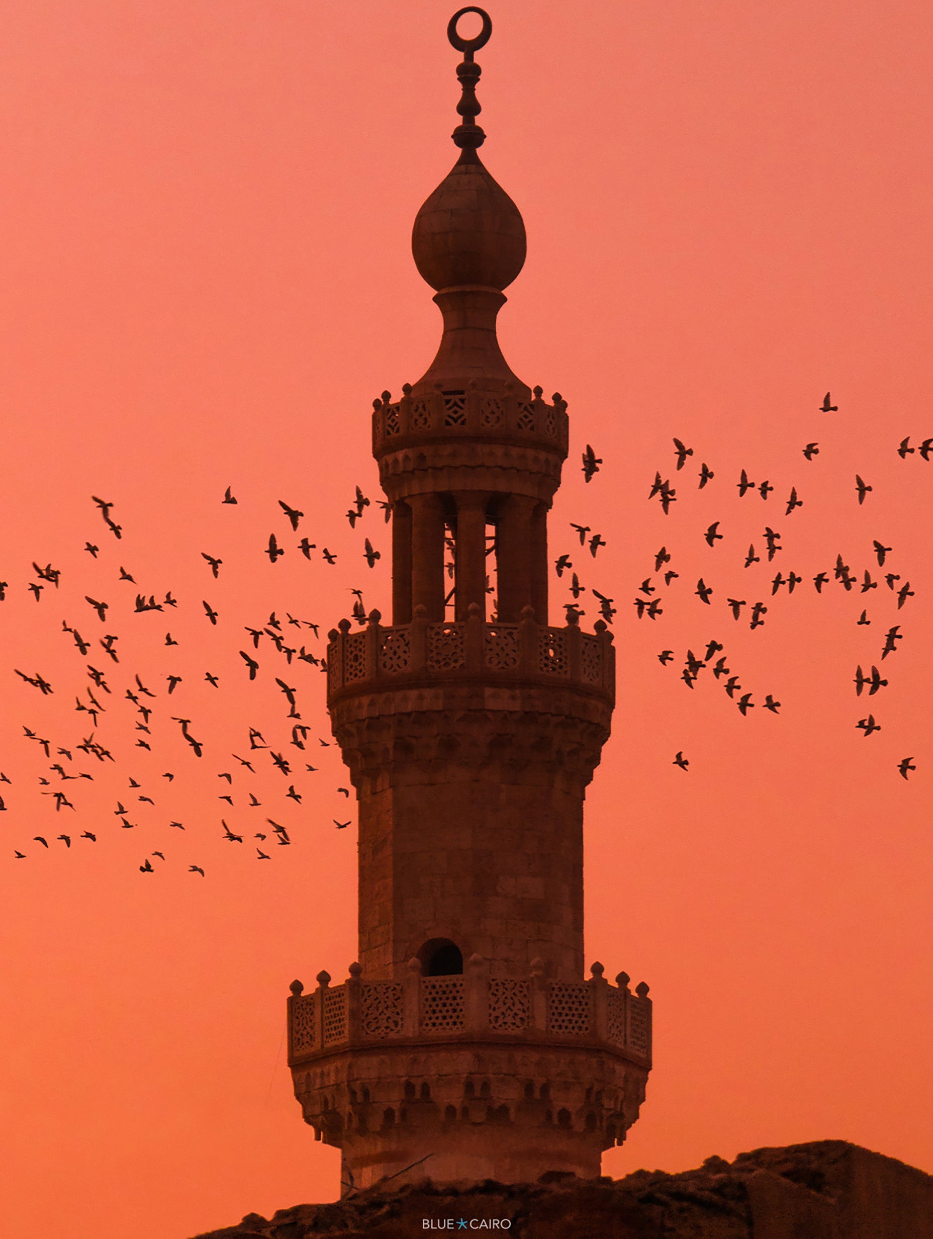 The Wings of Cairo II