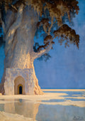 The Ancient Tree