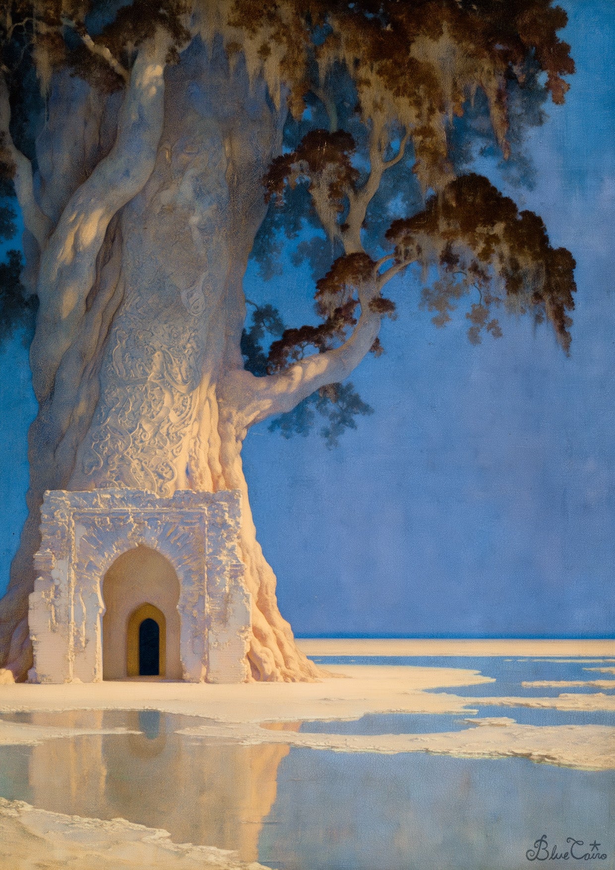 The Ancient Tree