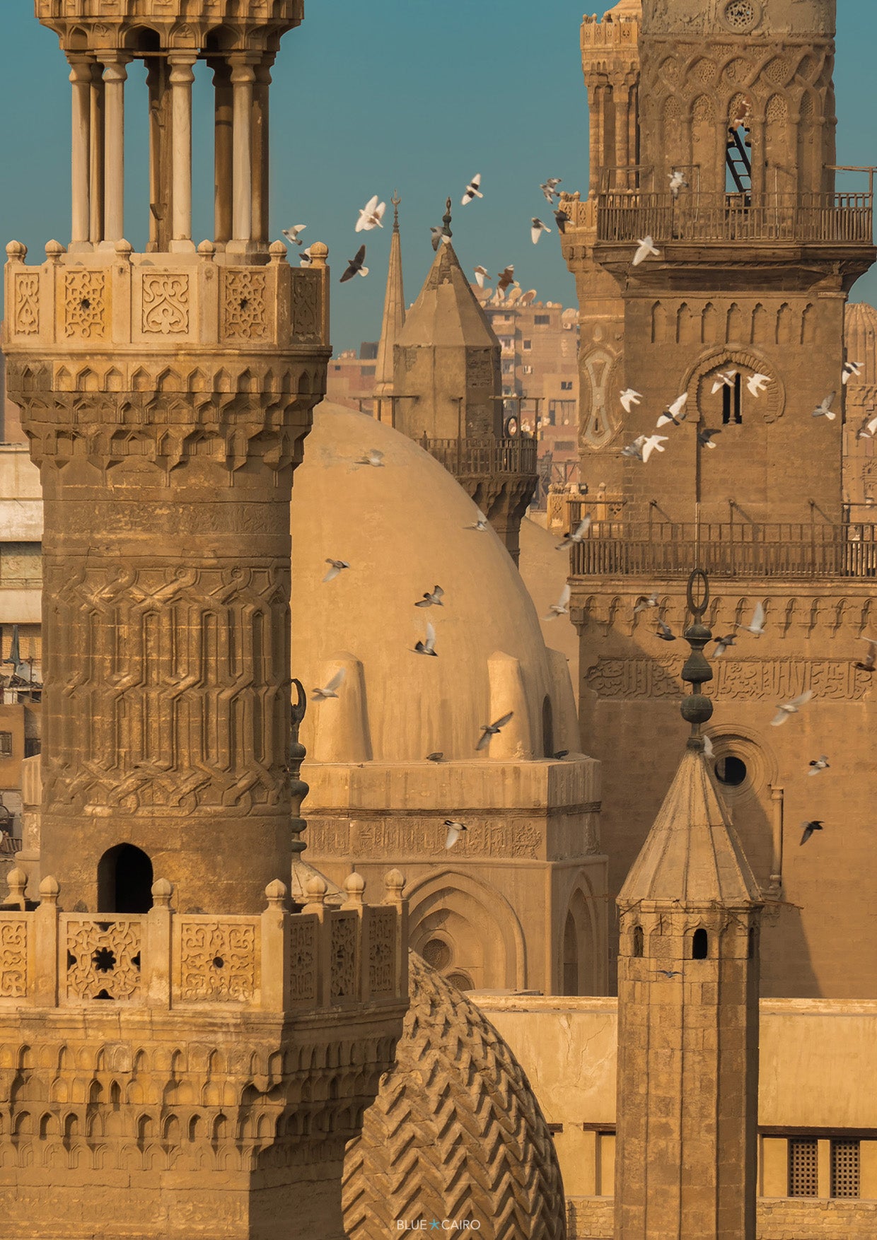 The Wings of Cairo